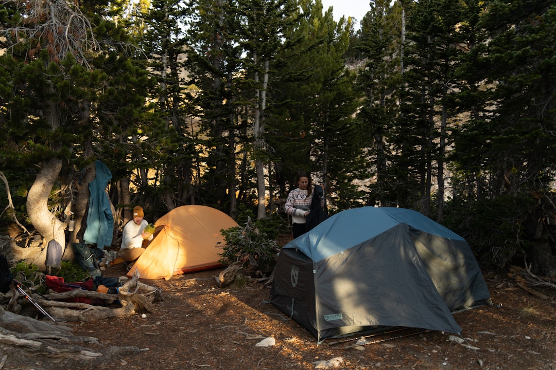 Essential Gear for Your Next Backpacking Adventure